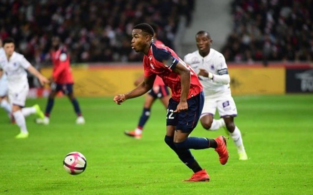 疑吸引了全 疑吸引了全